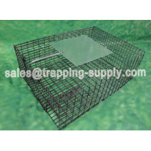 LB-39 Galvanied Sparrow Cage Trap